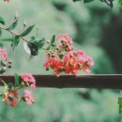 大众彩票入口welcome